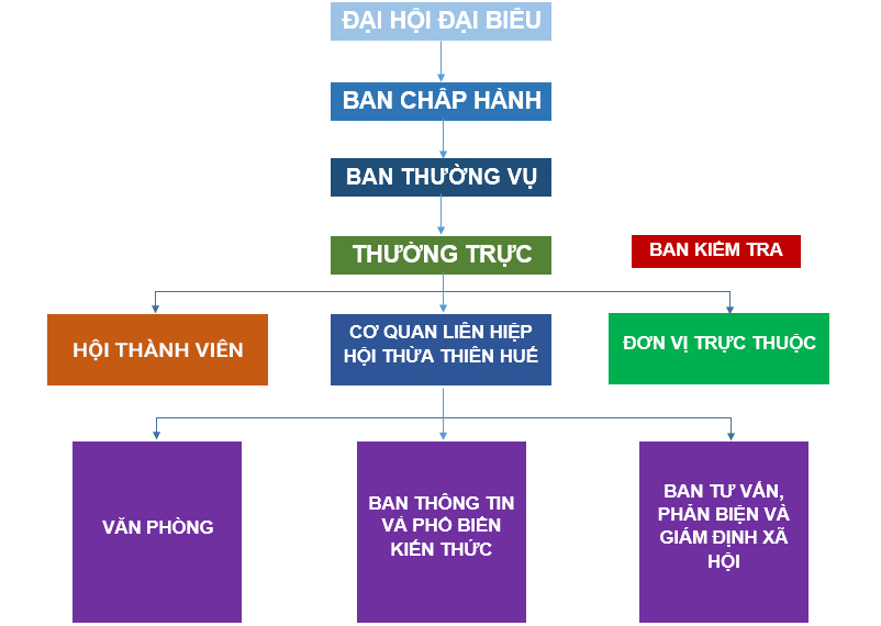 Sơ đồ cơ cấu tổ chúc HUSTA